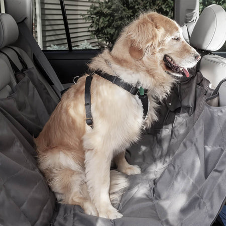 Dog sitting in a sagging soft back seat cover before RuffRover