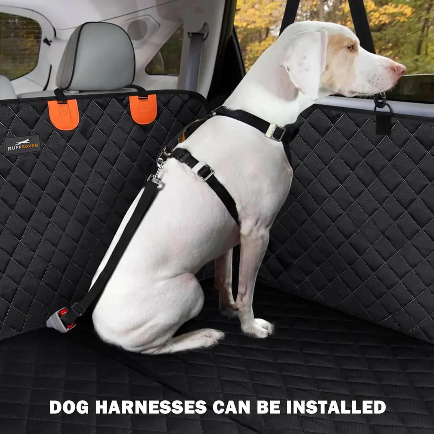 Dog secured in the RuffRover 2.0 hard bottom dog car seat protector