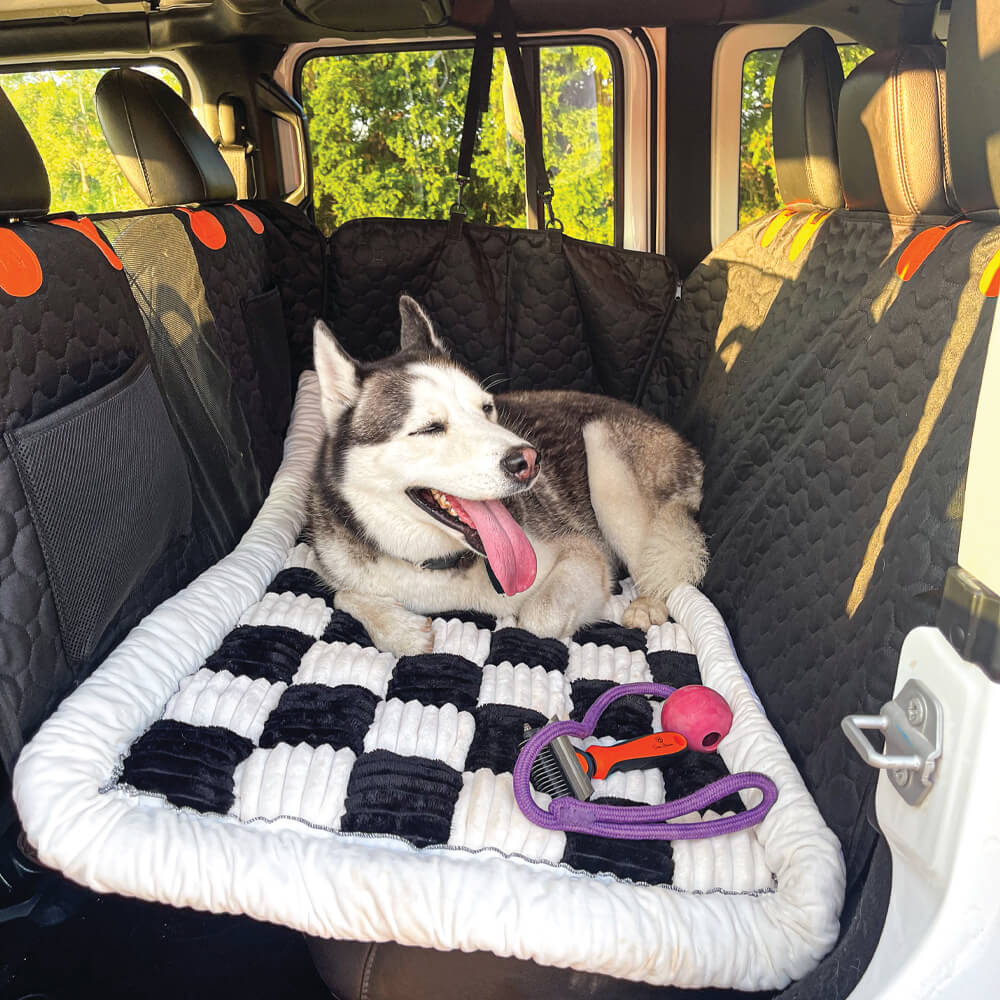 Dog relaxing on a RuffRover travel bed setup