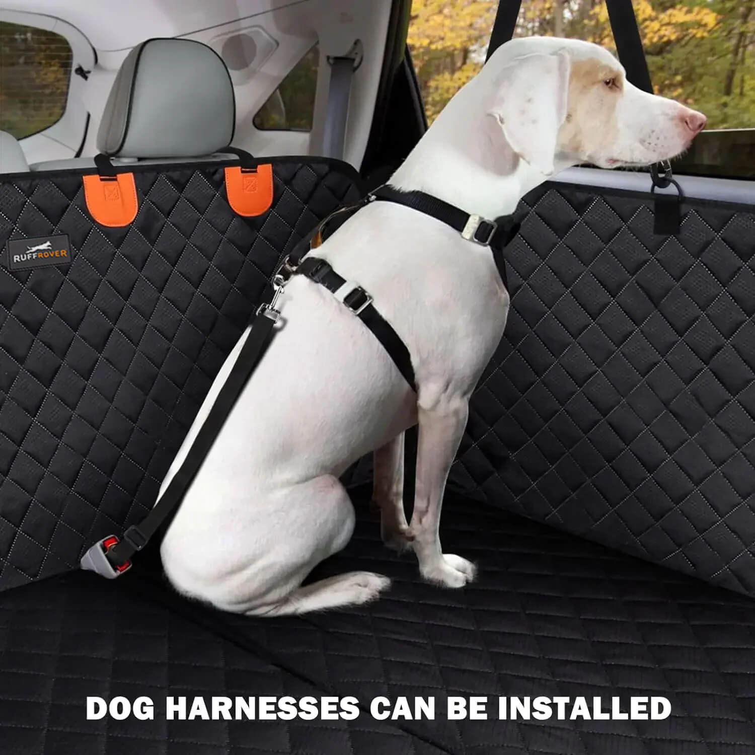 Dog secured on RuffRover 2.0 in the back seat